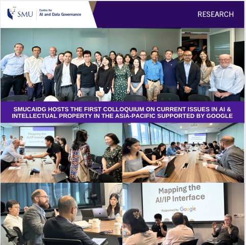 First Asia-Pacific Colloquium on Mapping the AI/IP Interface supported by Google